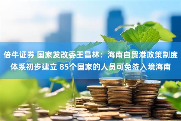 倍牛证券 国家发改委王昌林：海南自贸港政策制度体系初步建立 85个国家的人员可免签入境海南