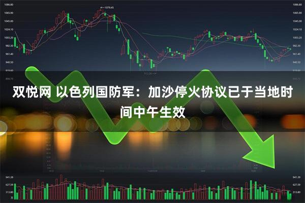 双悦网 以色列国防军：加沙停火协议已于当地时间中午生效