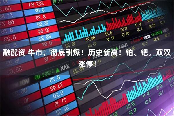 融配资 牛市，彻底引爆！历史新高！铂、钯，双双涨停！